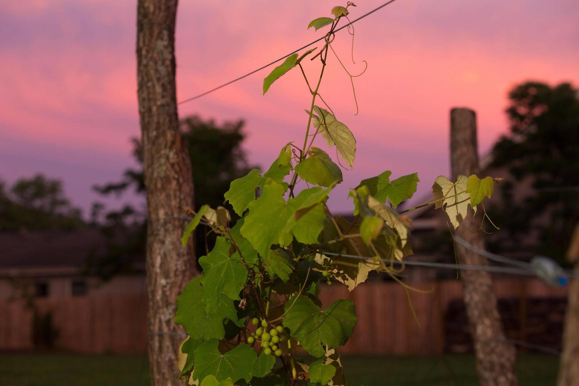 Hotel Bunn House - A Boutique Asheville