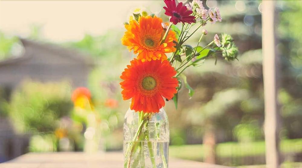 Bunn House - A Boutique Hotel Asheville